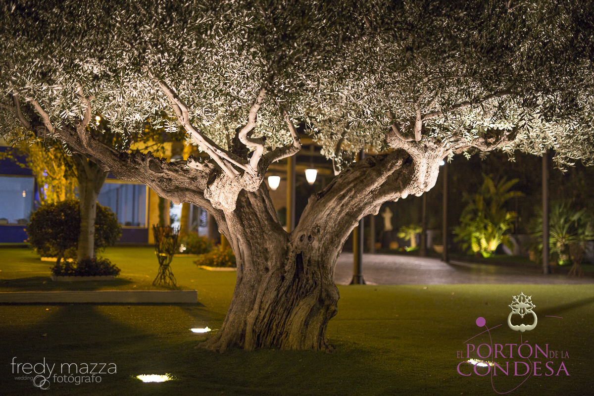 Salones de boda con exteriores